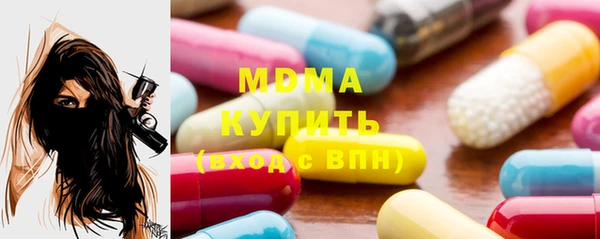 индика Каменка