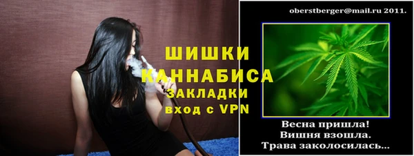 бошки Саяногорск