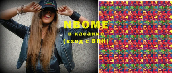 прущие грибы Каменногорск