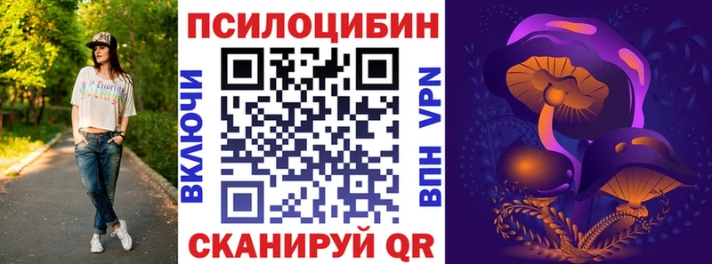 shop наркотические препараты  MEGA онион  Оренбург  Псилоцибиновые грибы прущие грибы 