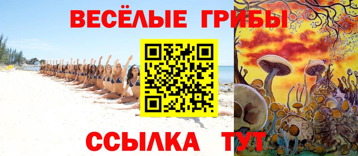 Галлюциногенные грибы мицелий  Вход с VPN  Псилоцибиновые грибы GOLDEN TEACHER  где можно купить наркотик  Оренбург 
