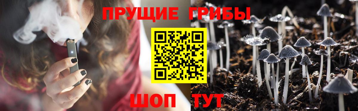 Галлюциногенные грибы прущие грибы Оренбург